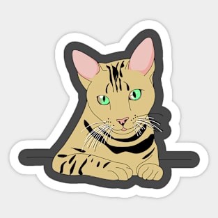 Graphic Cat Sticker